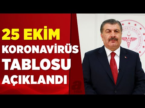 Sağlık Bakanlığı 25 Ekim 2021 kovid-19 vaka ve vefat tablosunu açıkladı! İşte detaylar... | A Haber