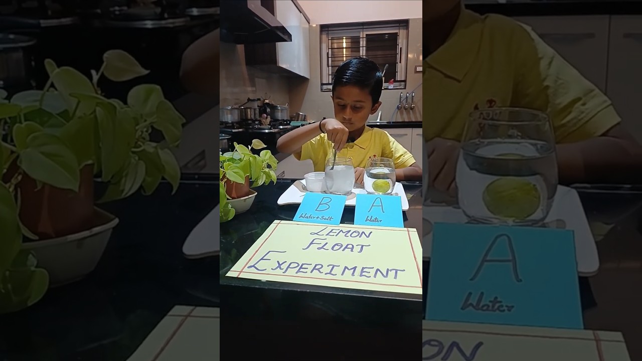 Lemon Float Experiment _16 Jan 2026