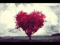 Amor sem limites - Roberto Carlos - Letra