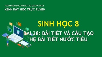 SINH HỌC 8 - BÀI 38: BÀI TIẾT VÀ CẤU TẠO HỆ BÀI TIẾT NƯỚC TIỂU | DAY HOC TRUC TUYEN CAM LE