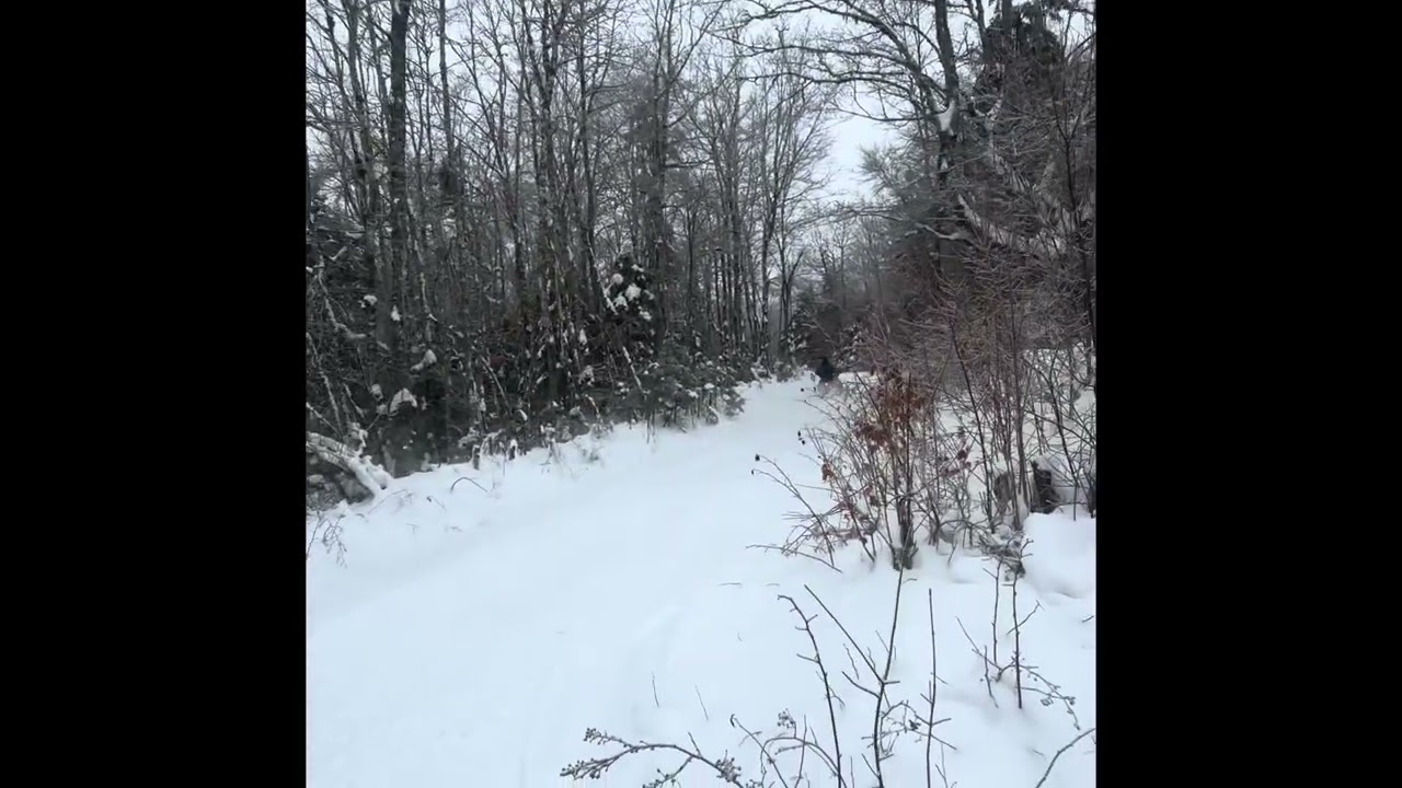 Fly by clips 2011 Apex & 2012 Vector