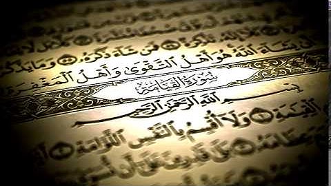 القارئ عبد الحميد ابويوسف سورة القيامة  سورة حزينة