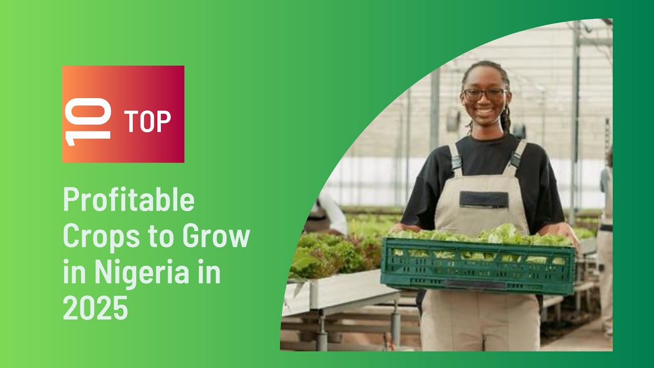 Top 10 Profitable Crops to Grow in Nigeria in 2025