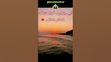 القارئ الصغير الذي حير مشاهير القراء بخشوع صوته الجزء  330 #قران #قران كريم #قراند #quran #quran alk