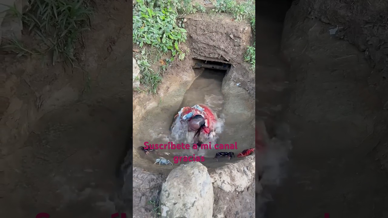 Hombre que se mete en hoyo acá Cangrejo Cangrejo le caminan en sí y lo muerden todo el cuerpo🦀🦀￼