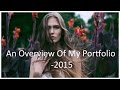 An Overview Of My Portfolio - June 2015