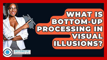What Is Bottom-Up Processing In Visual Illusions? - Optometry Knowledge Base