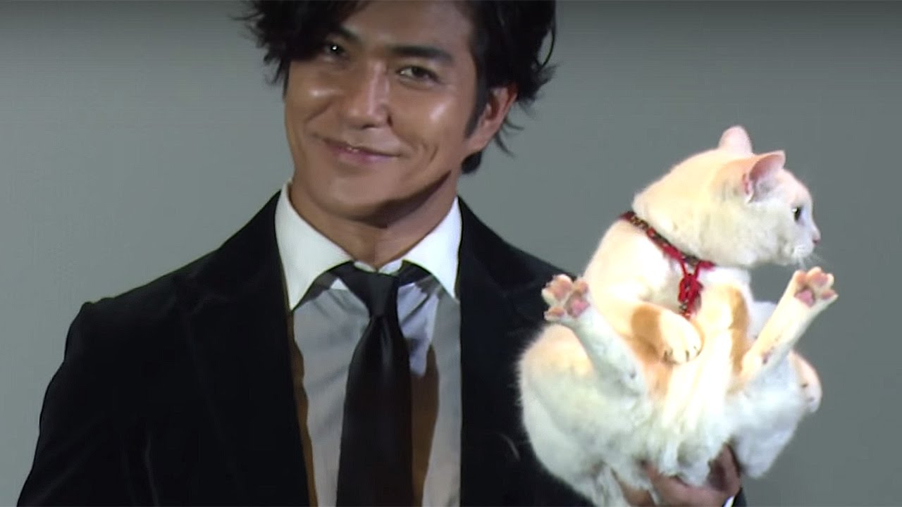 日本猫 猫 ドラマ 猫侍 に出演 あなご ちゃんと 猫忍 の 金時 映画に登場する動物たち 主に犬 猫