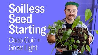 Soilless Seed Starting Indoors • Coco Coir Basics and Results!