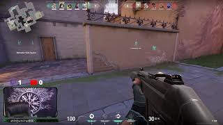 Valorant Tryout