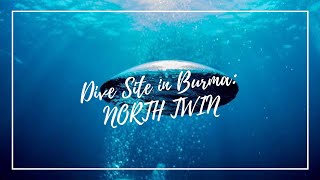 Dive site in Burma: North Twin