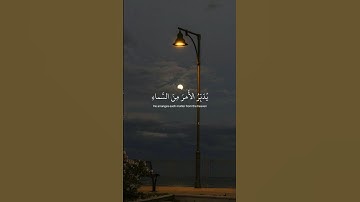ايه من سورة السجدة || القارئ بشار سراج