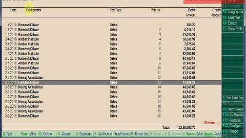 TALLY - SEARCHING COMMAND ALT+F12 (Reference & party name) filter.