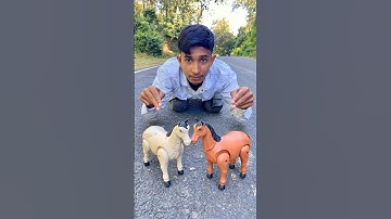 Tow Ta  Remote Control  Horse 🐎 Unboxing And Testing 😁