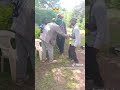 Ukiwa Shu暮猫 Ukiwa Shu暮猫