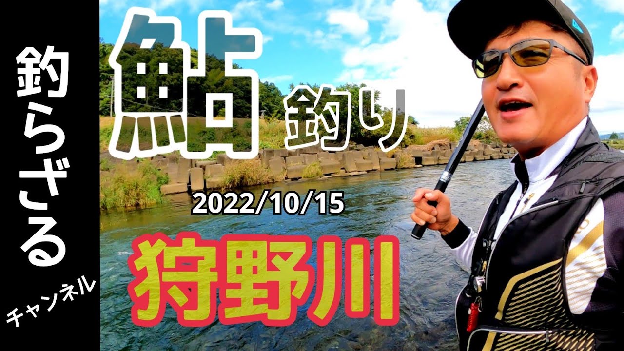 【鮎釣り2022】静岡県狩野川で鮎釣りチーム大会のプラ！良い川ですね！