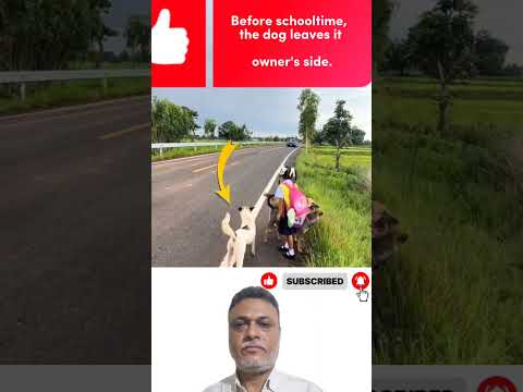 وداع مليء بالمشاعر الصادقة لا ت ترجم بالكلمات تابعونا لكي يوصلكم كل جديد