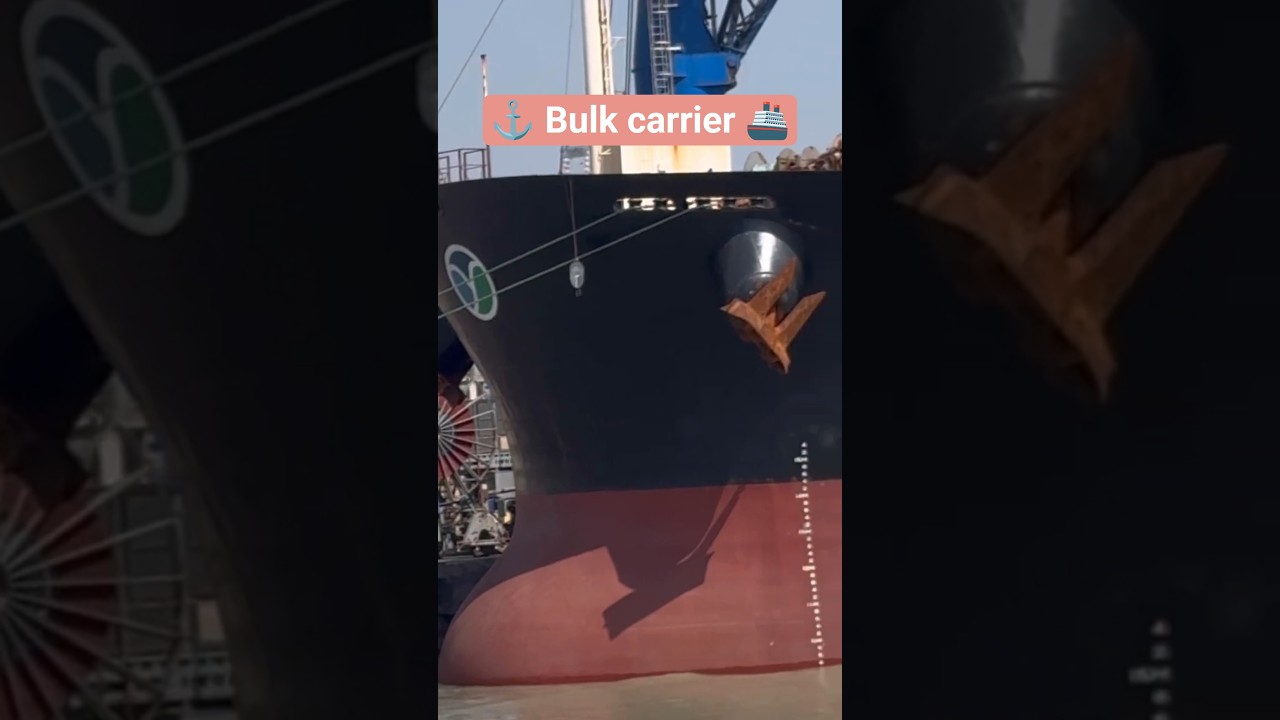 ⚓ Bulk carrier (YASA NESHLIHAN) 🛳️ 