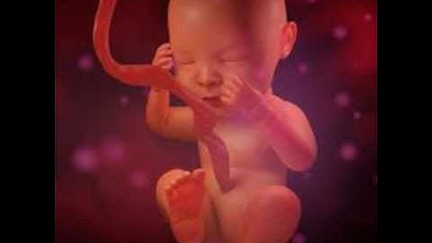 اجمل صوت في مدينة مرتيل(من مسجد رياض صوفيا) تلاوة ما تبارك من سورة الانفطار