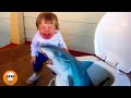 Funniest baby screaming in fail circumstances  funny babys  just funniest