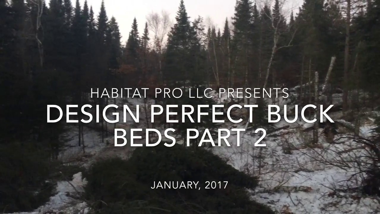 Design Perfect Buck Beds Part 2 YouTube