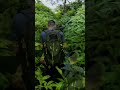 Tandulwadi Trek | Located Near Mumbai Must visit for Adventure