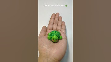 DIY walnut shell turtle | DIY turtle #shorts #diy #walnut #shell #clayart #handmade #acrylicpainting