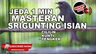 🔴MASTERAN JEDA JOS! Srigunting Gacor Panjang Isian Tembakan MEWAH❗️