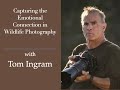 Session 189  capturing the emotional connection in wildlife photography with tom ingram