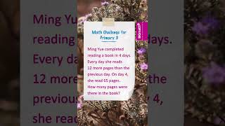 Grade 3 Math Quiz 43: Solve the Primary 3 Word Problem