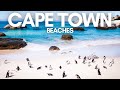 أفضل 10 شواطئ في كيب تاون