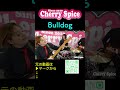 #shorts #bulldog #ventures #CherrySpice【Bulldog】 🍒 Haruka with Cherry Spice6