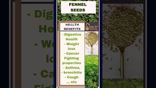 Fennel Seeds Health Benefits