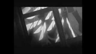 Hellsing/ Spirited Away - Warrior by Disturbed