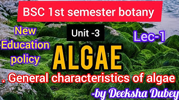 Algae - General characteristics|| phycology|| BSc 1st semester botany unit 3#crashbiology#bscbotany