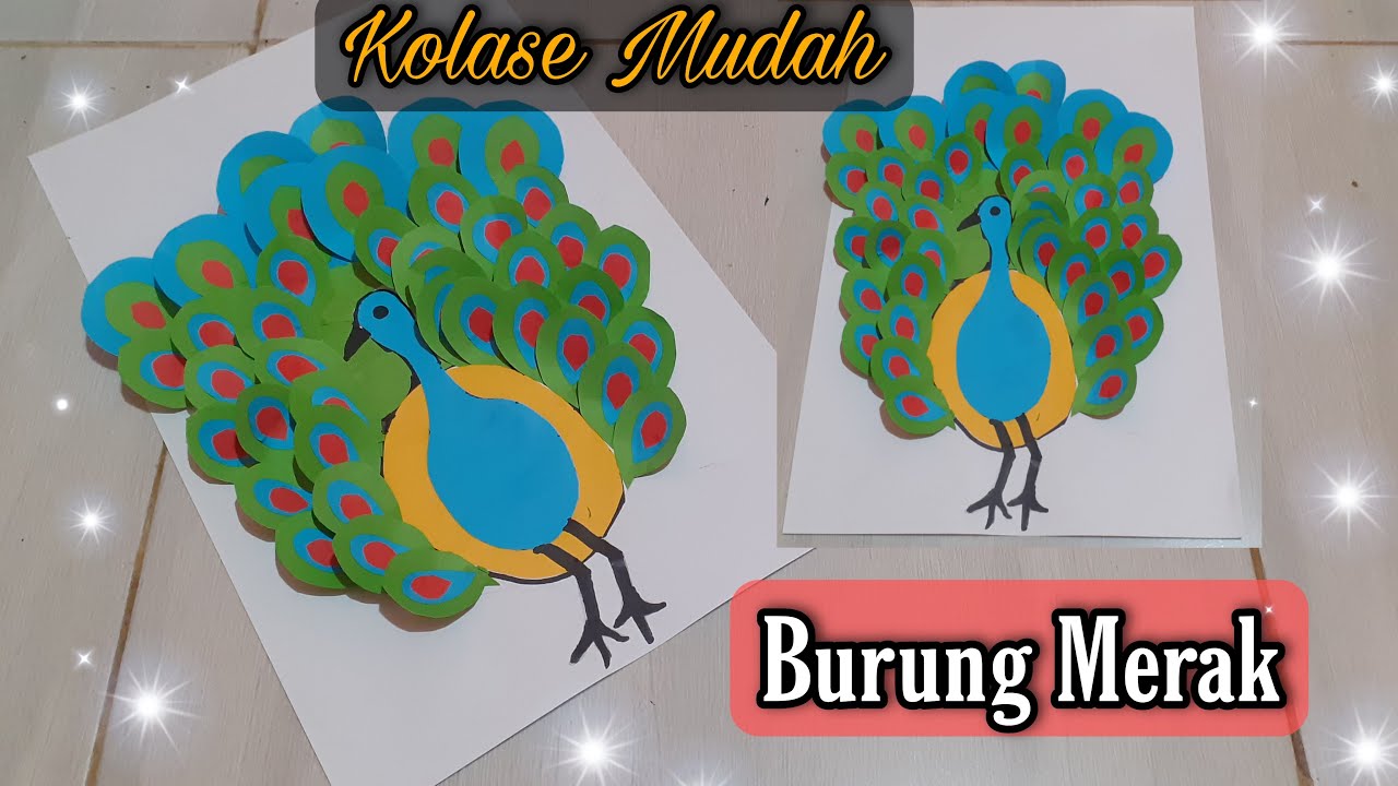 580 Gambar Burung Merak Kertas Gratis Terbaru