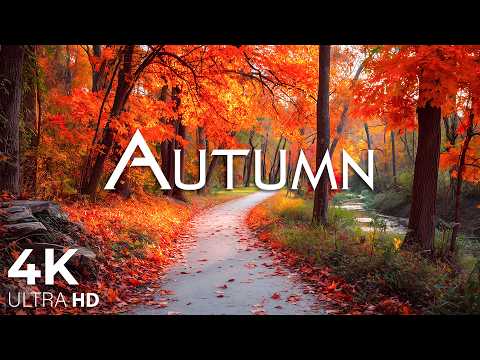 September Autumn Leaves 🍂 4K Relaxing Piano Music | Peaceful Fall Nature & Healing Music