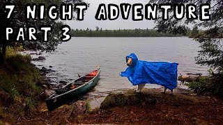 7 Night Wilderness Adventure With My Dog (Part 3 of 3)