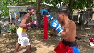 USA backyard boxing match [elite boxing match]
