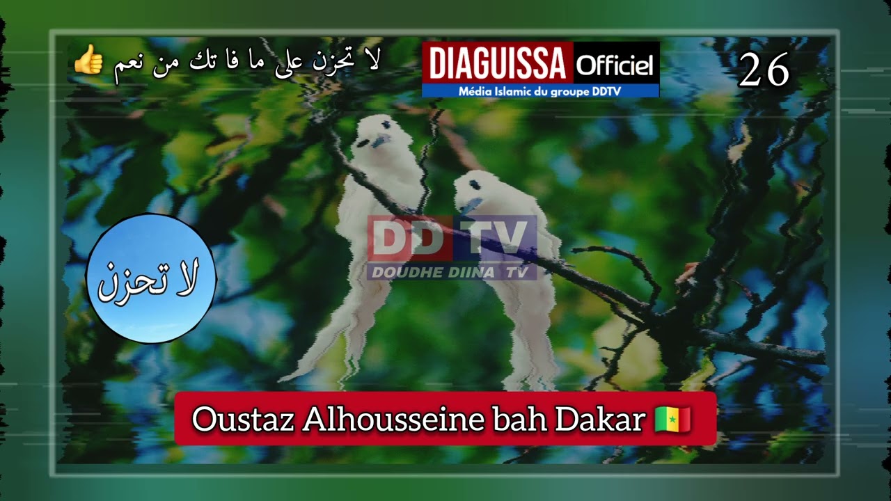 26_ Ustaz Alhusayny Bah Dakar hfz #partage لا تحزن 🙏🦻🦻26Diaguissa  Diaguissa officiel
