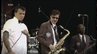 The Mighty Mighty Bosstones - You Gotta Go (Live @ Area 4 Festival, 2011)