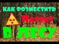 Как розместить пасеку пчел в лесу🐝где поставить пасеку.Кочевая пасека.Какие документы должны быть