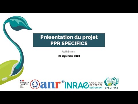 SPECIFICS - Présentation et questions du Projet (Kick-off meeting PPR CPA)