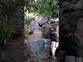 #dog #dogshorts #fyp #dogswimming #doglife #viral #viralvideo
