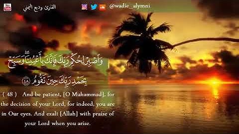 واصبر لحكم ربك فإنك باعيننا/ للقارئ وديع اليمني