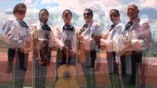 Mariachi.wmv