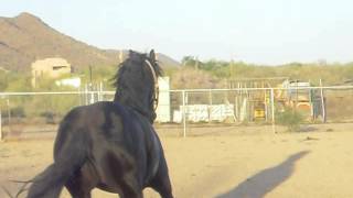 CIMG1249.AVI