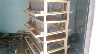 New design quail cage ब्यावसायिक बट्टाई पालनकोलागी आधुनिक  खोर #puskarkunwar #quailcage #woodworking
