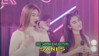 DIKE SABRINA FT ARLIDA PUTRI - SANES