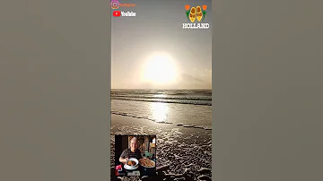 1 November 2025, Bergen aan Zee, North-Holland, Beach & Forest, The Netherlands ????????